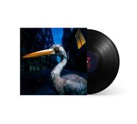 Decoding Birdsong Vinyle