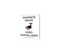 DECOHO - Pictogramme Vidéo Surveillance - Panneau Dibond Aluminium Blanc - Noir - 20x20 cm, 3 mm, Fixations Multiples - Blanc