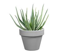 DECOLINES-Pot horticole émaillé gris diamètre 10 cm