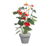 DECOLINES-Pot horticole émaillé gris diamètre 25 cm
