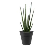 DECOLINES-Pot horticole en acier peint anthracite diamètre 19 x H 17 cm