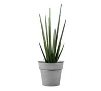 DECOLINES-Pot horticole en acier peint gris clair diamètre 19 x H 17 cm