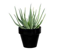 DECOLINES-Pot horticole en terre cuite émaillée Noir - D10 x H8.5