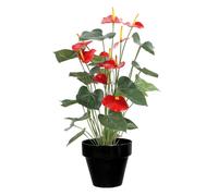 DECOLINES-Pot horticole en terre cuite émaillée Noir - D25 x H23