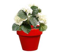 DECOLINES-Pot horticole en terre cuite émaillée Rouge - D19 x H17