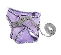 DECOMELODY 1ensemble pour Chien avec Laisse Ensemble Léger Et Confortable pour Petits Animaux Antidérapant Et Respirant Accessoire Pratique pour Promenade Extérieur XXS