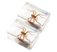 DECOMELODY 2 pièces Presse-papiers Insecte Résine Délicate Figurine Araignée Réaliste Décorative Ornement de Table Unique pour Bureau et Maison