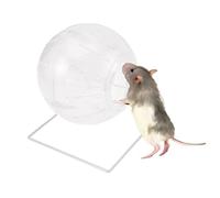 DECOMELODY Boule de Course Multifonctionnelle Quatre pour Hamster Balle Transparente pour Petits Animaux Amusement et Activité Assurés