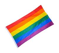 DECOMELODY Drapeau Lgbt Polyester Grand Drapeau Arc Ciel Extérieur de Fierté Gay Lesbienne Bisexuel et Durable et Aux Intempéries