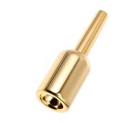 DECOMELODY Embouchure Trompette Petite Taille Plaquée Or 5C Accessoire pour Trompette Solide Surface Lisse Remplacement Instrument de Musique Usage Orchestre Débutant et Professionnel