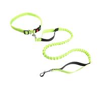 DECOMELODY Laisse pour Chien Extensible Verte Laisse de Promenade Réglable pour Chiens Extérieure Confortable pour Entraînement et Marche