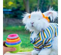 DECOMELODY Lot de 8 Gobelets Empilables pour Lapins Jouet de Nidification en Plastique Alimentaire Multicolore Réutilisable pour Enrichissement Extérieur Petits Animaux