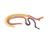 DECOMELODY Modèle Anatomique de Schistosome Hermaphrodite Détachable Matériel Pédagogique en Biologie Modèle Animal Éducatif pour Enseignement Scientifique en Classe et Recherche