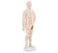 DECOMELODY Modèle de Simulation Corporelle Acupuncture Points Précis pour Formation et Démonstration Acupression Outil Éducatif pour Acupuncteurs et Études Médecine Traditionnelle Chinoise