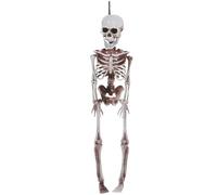 DECOMELODY Modèle de Squelette Humain Articulé en Plastique Mini Squelette Réaliste Décoratif pour Halloween Petit Accessoire Léger pour Fête Bureau et Cosplay