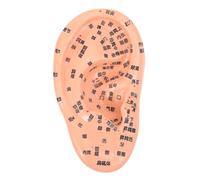 DECOMELODY Modèle Oreille Acupuncture PVC pour Massage et Tcm Outil Éducatif Humain avec Points Auriculaires Précis Support Formation Réflexologie Auriculaire