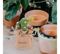 DECOMELODY Plante Artificielle Pot Cactus Mini Décoration de Bureau Bonsaï Fausse Plante Verte Compacte pour Intérieur et Maison