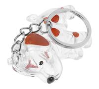 DECOMELODY Porte-clés Boîte de Rangement Transparente pour Poils de Chien Capsule Souvenir Format Accessoire Commémoratif Pratique pour Animaux