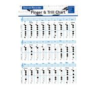 DECOMELODY Tableau de Gammes pour Flûte à Bec Basse 8 Trous Guide d'Apprentissage Diagramme Clair Affiche Pédagogique pour Débutants Outil Pratique pour Exercices et Maîtrise des Gammes