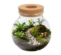 DECOMELODY Vase Verre Hydroponique pour Plantes Intérieur Terrarium Décoratif avec Bouchon Pot Propagation Élégant pour Bureau et Maison