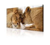 decomonkey - Impression sur Toile Animaux 150x60 5 Pièces - Tableau Décoration Appartement Déco Salon Peinture sur Toile Les lions bruns aiment la nature couple embrasser les animaux romantiques