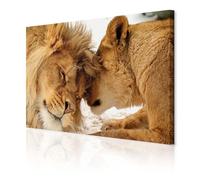 decomonkey - Impression sur Toile Animaux 90x60 1 Pièce - Tableau Décoration Appartement Déco Salon Peinture sur Toile Les lions bruns aiment la nature couple embrasser les animaux romantiques