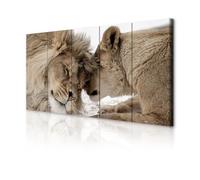 decomonkey - Impression sur Toile Lion 200x80 5 Pièces - Tableau Décoration Appartement Cadre en Bois Déco Salon Peinture sur Toile Maison Les lions aiment la nature couple embrasser romantique