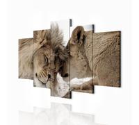decomonkey - Impression sur Toile Lion Afrique 100x50 5 Pièces - Tableau Décoration Appartement Déco Salon Les lions bruns aiment la nature couple embrasser les animaux romantiques