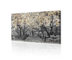 decomonkey - Impression sur Toile Nature 150x50 1 Pièce - Tableau Décoration Appartement Cadre en Bois Déco Salon Peinture sur Toile Maison Des arbres fleurs feuilles magnolias nature plantes