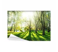 decomonkey - Papier Peint Panoramique Adhésif Foret 392x280 cm - Stickers Muraux Salon Chambre Déco XXL Autocollant Bureau - Blanc vert beige - Lueur des arbres forêt nature soleil gazon l'eau