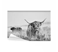decomonkey - Papier Peint Panoramique Animaux Bison 400x280 cm - Décoration murale moderne - Tapisserie décorative pour chambre salon - La photographie vaches prairie nature animaux