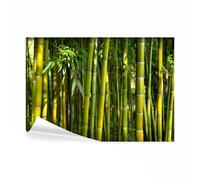 decomonkey - Papier Peint Panoramique Bambou Nature 200x140 cm - Décoration murale moderne - Tapisserie décorative pour chambre salon - Asie bambous feng shui feuilles orienter plantes fond zen