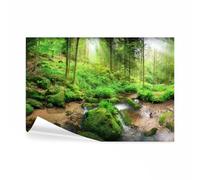 decomonkey - Papier Peint Panoramique Foret 150x105 cm - Décoration murale moderne - Tapisserie décorative pour chambre salon - Lueur des arbres pierre forêt l'eau vert