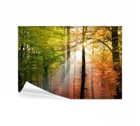decomonkey Papier Peint Panoramique Foret 350x256 cm Décoration murale | Tapisserie décorative pour chambre salon, Des arbres automne paysage forêt feuilles nature, moderne