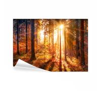 decomonkey - Papier Peint Panoramique Foret 400x280 cm - Décoration murale moderne - Tapisserie décorative pour chambre salon - Des arbres automne forêt feuilles nature paysage soleil