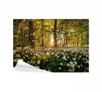 decomonkey - Papier Peint Panoramique Foret Nature 350x256 cm - Décoration murale moderne - Tapisserie décorative pour chambre salon - Des arbres fleurs forêt feuilles nature paysage