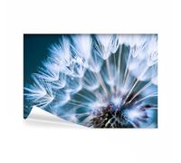 decomonkey - Papier Peint Panoramique Pissenlit Nature 450x315 cm - Décoration murale - Tapisserie décorative pour chambre salon - Pissenlits fleurs colorées nature bleu plantes soleil eau