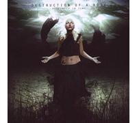 Deconstruction of a Rose - Suspended in Time