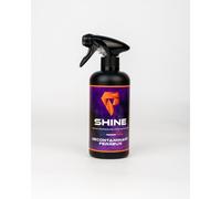 Décontaminant Ferreux 450 Ml Shine