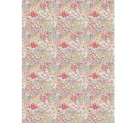 Décopatch FDA916C - Une pochette de 20 feuilles texture 30x40 cm - Champs de fleurs