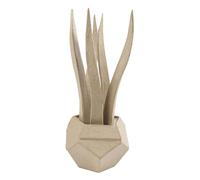 décopatch Support en papier brun mâché HD048C 9x9x22 cm – Succulente