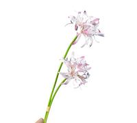 Décor de fleurs artificielles fausse branche de fleur 2pcs araignée rouge lis réaliste de mariage de soie de mariage de bureau de bureau maître de la pièce maîtresse arrangement floral Rose cla