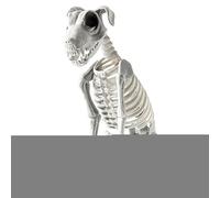 Décor d'halloween Squelette de Chien,Chien Squelette d'halloween | Animal Effrayant,Statue réaliste de, Ornements artistiques en os de crâne pour Rassembler des f