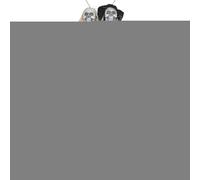 Décor Fantôme - Accessoires Fantômes Effrayants pour Halloween - Accessoires Rétro Effrayants avec Effets Sonores Couple Squelette pour Présentation Jardin Intérieur Extérieur Mur Fenêtre