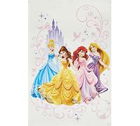 Décor Géant Adhésif Repositionnable Disney Princesses Graphique
