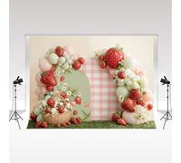 Décor Kate Fraise 3x2.5m/10x8pi Arche de Ballons Panier à Carreaux Vichy Accessoires décoratifs pour Une fête d'anniversaire d'enfant 1 an Un Shooting Photo Une Baby Shower ou Un Studio Photo