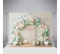 Décor Kate One Silly Goose 10x6.5ft/3x2m avec Arche de Ballons Marguerites Vert Sauge et Fond Vichy pour séance Photo de Baby Shower Anniversaire d'enfant ou Autre Accessoires de Studio Photo