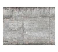 Décor mural intissé Design walls concrete wall - 5 lés