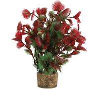 Zolux Decor Plante Medium t3 Ass
