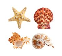 Décoration auto-collante Coquillages